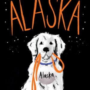 Talking to Alaska (Paperback)