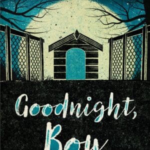 Goodnight, Boy (Paperback)