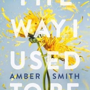 The Way I Used to Be (Paperback)